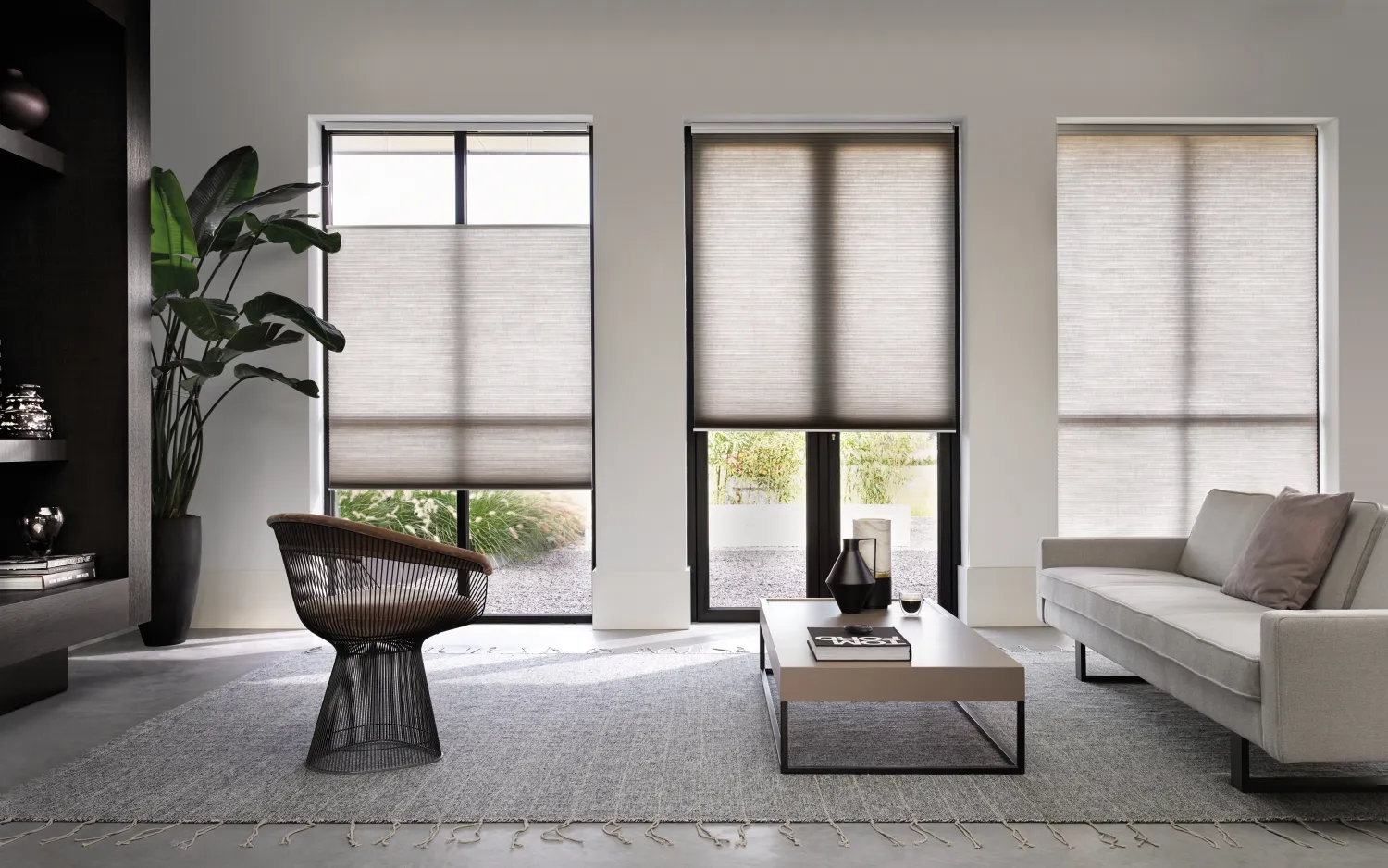 Proyecto Shangri-La 6